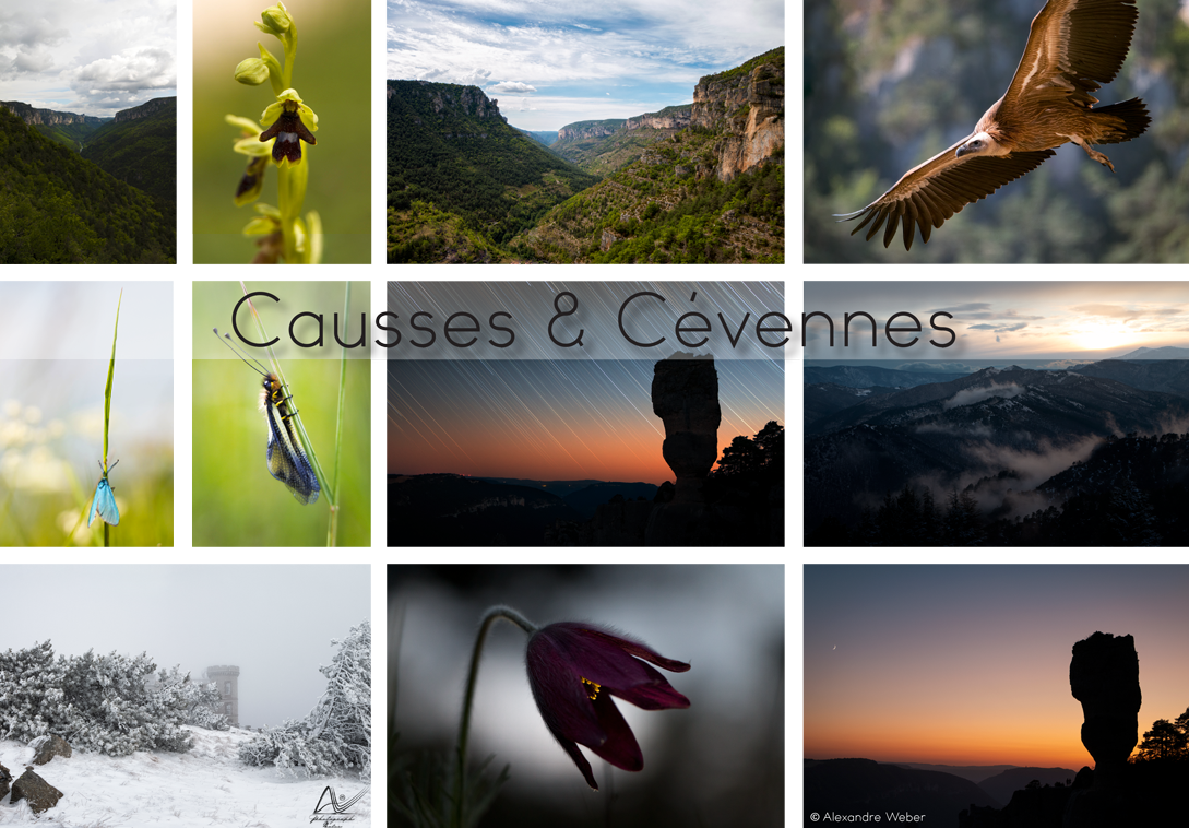Causses & Cévennes