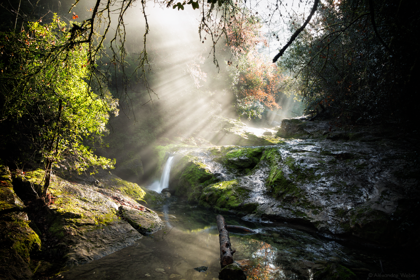 Paysages