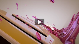 Liquid Splash