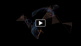 Fractal From Motion Vectors